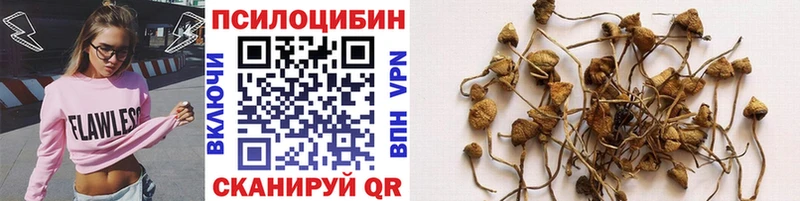 Галлюциногенные грибы мухоморы  Купить  Малоярославец 