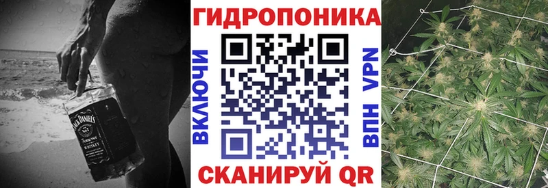 Купить закладки  Малоярославец  Шишки марихуана план 